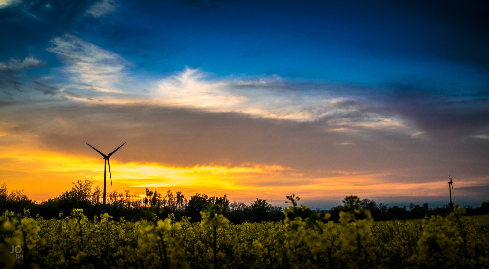 Blick aus dem Rapsfeld am Abend