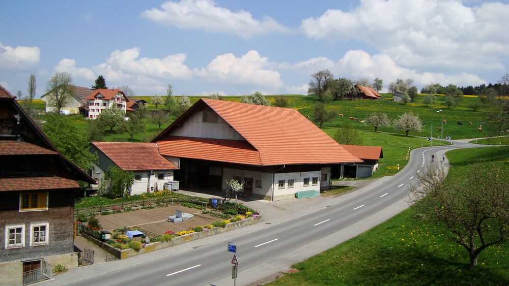 Blick aus dem Schlafzimmer 2