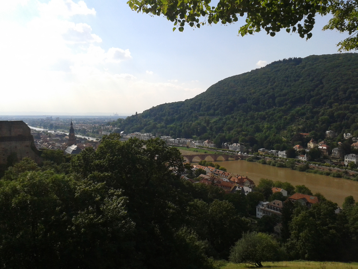 Blick aus dem Schlossgarten