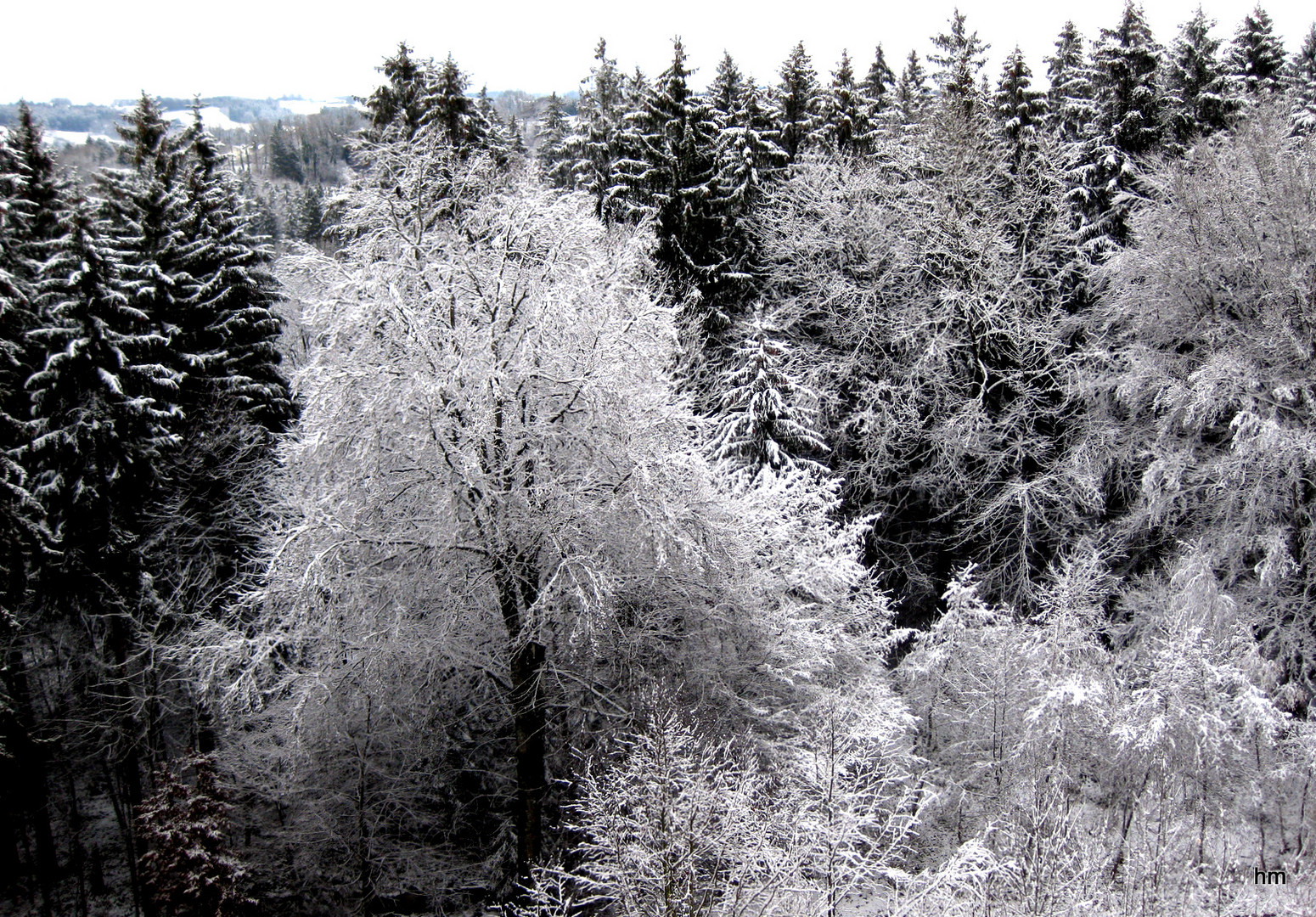 Blick aus dem Stubenfenster