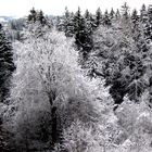 Blick aus dem Stubenfenster