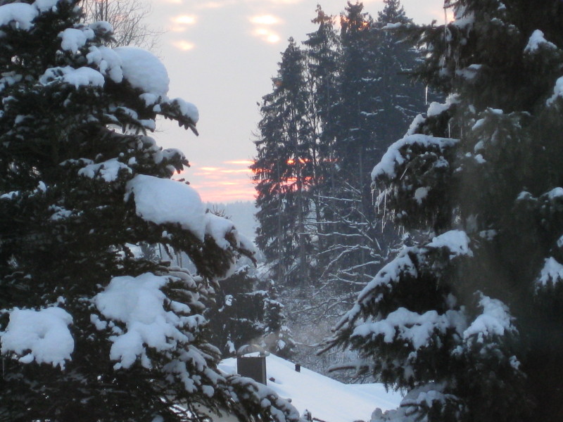 Blick aus dem Stubenfenster