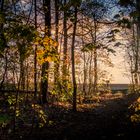 Blick aus dem Tharanter Wald