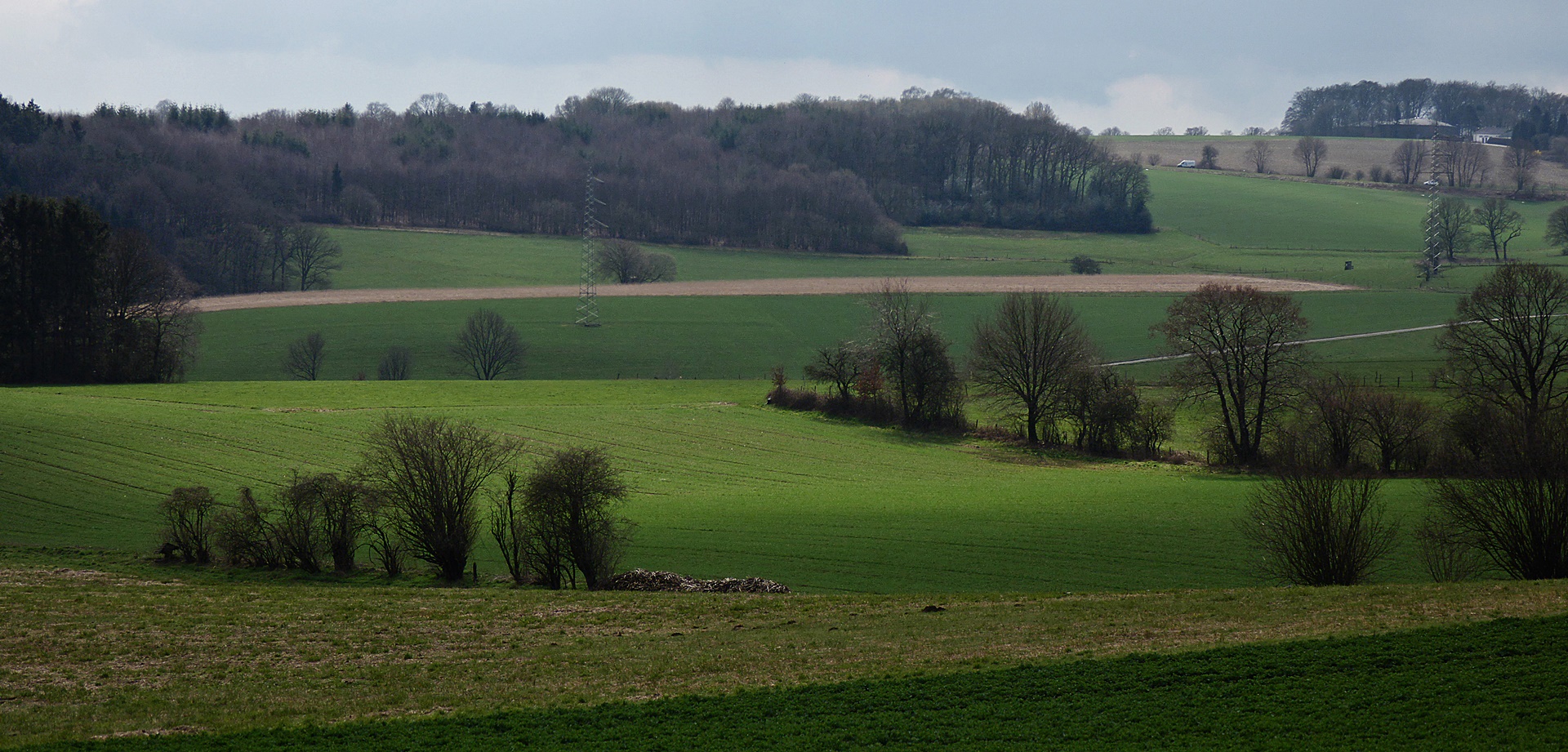 Blick aus dem Wald