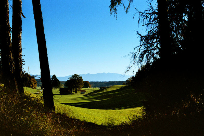 Blick aus dem Wald auf die bayerischen Alpen