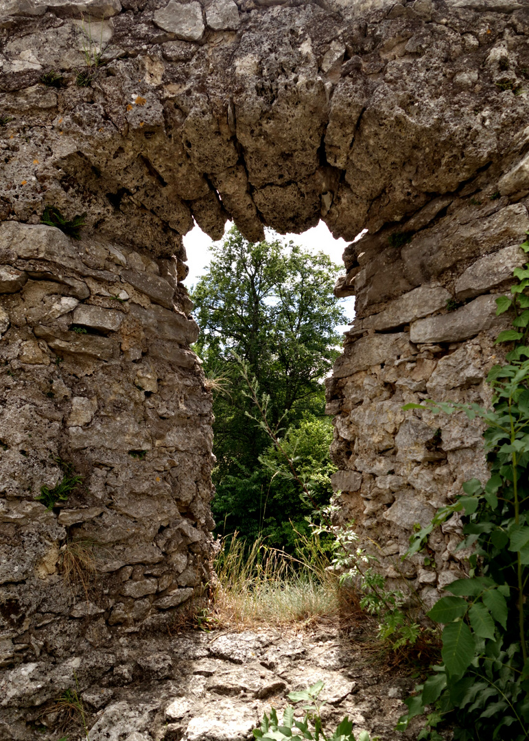 Blick aus dem Wehrturm Burgruine Neideck