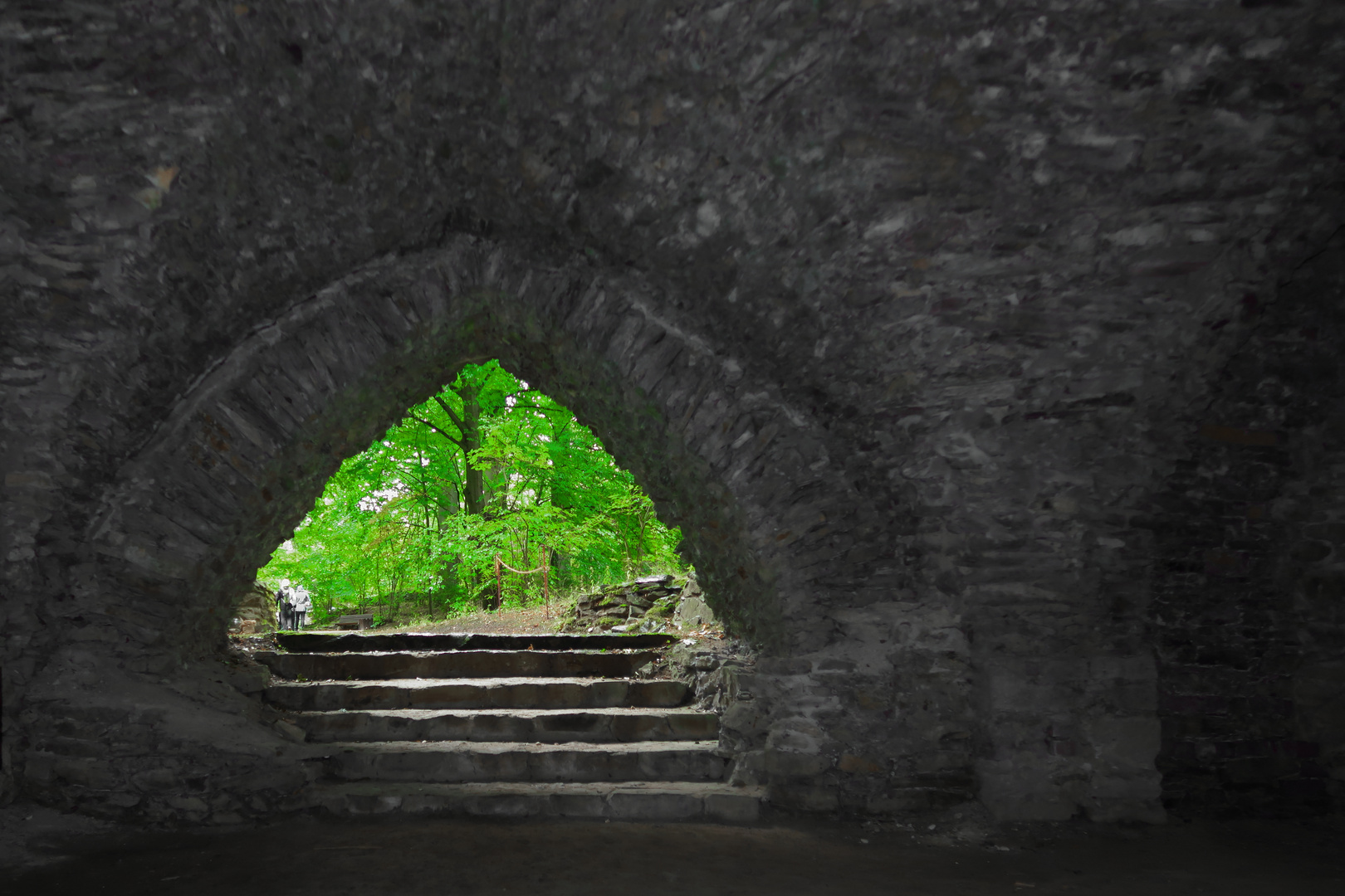 Blick aus dem Weinkeller Kloster Altzella