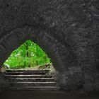 Blick aus dem Weinkeller Kloster Altzella