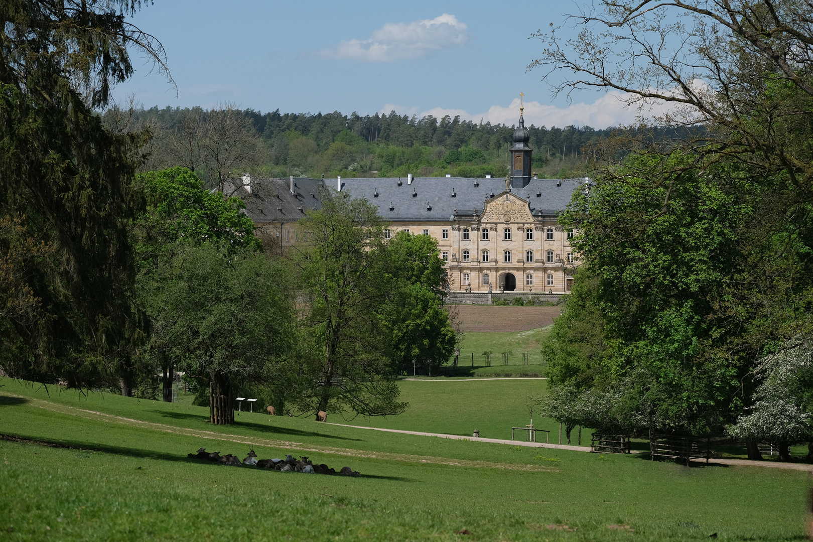 Blick aus dem Wildpark