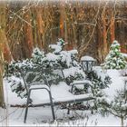 Blick aus dem Wohnzimmerfenster