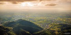 Blick aus dem Zeppelin ins Rebland