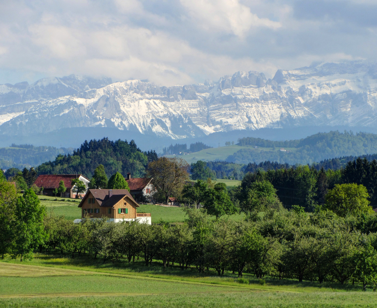 Blick aus dem Zimmer 1