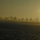 Blick aus dem Zugfenster