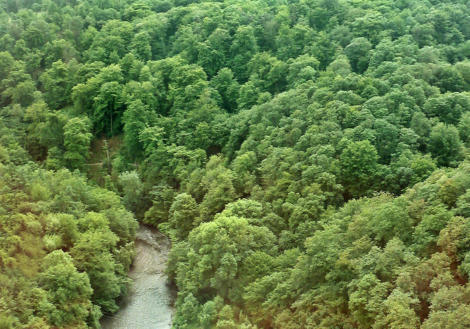 Blick aus dem Zugfenster ...