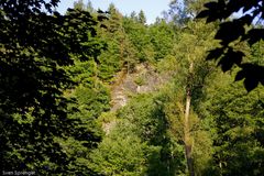 Blick aus den Elstertal