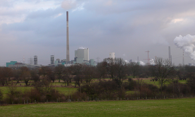 Blick aus den Rheinauen....