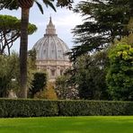 Blick aus den Vatikanische Gärten auf die Kuppel des Petersdom