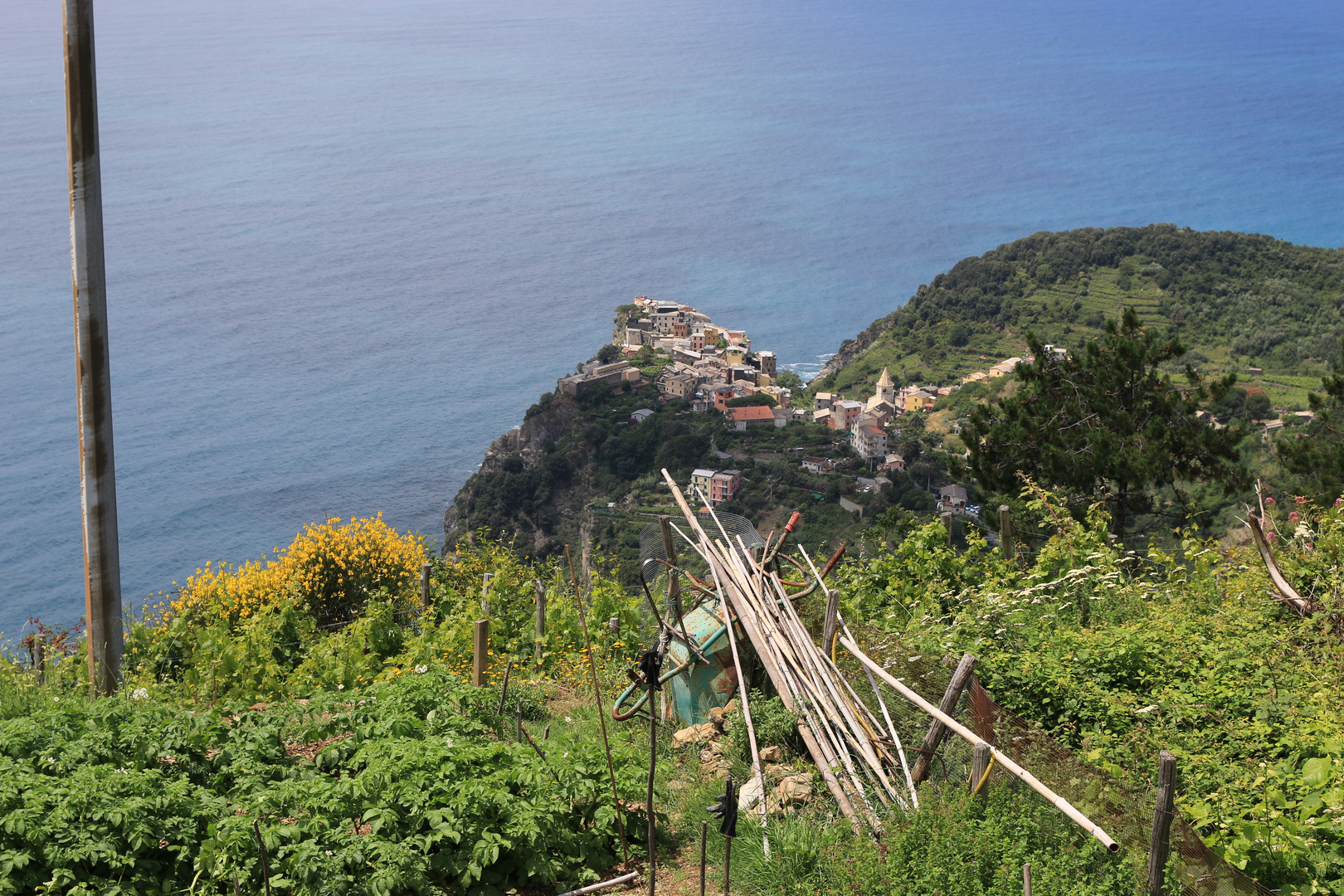 Blick aus den Weinbergen auf Corniglia