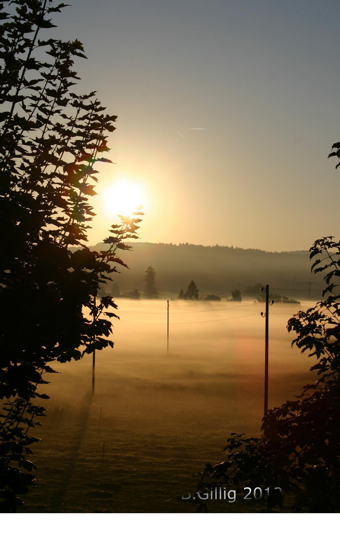 Blick aus den Wohnzimmerfensteer ;o)