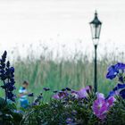 Blick aus der Alten Villa auf den Ammersee