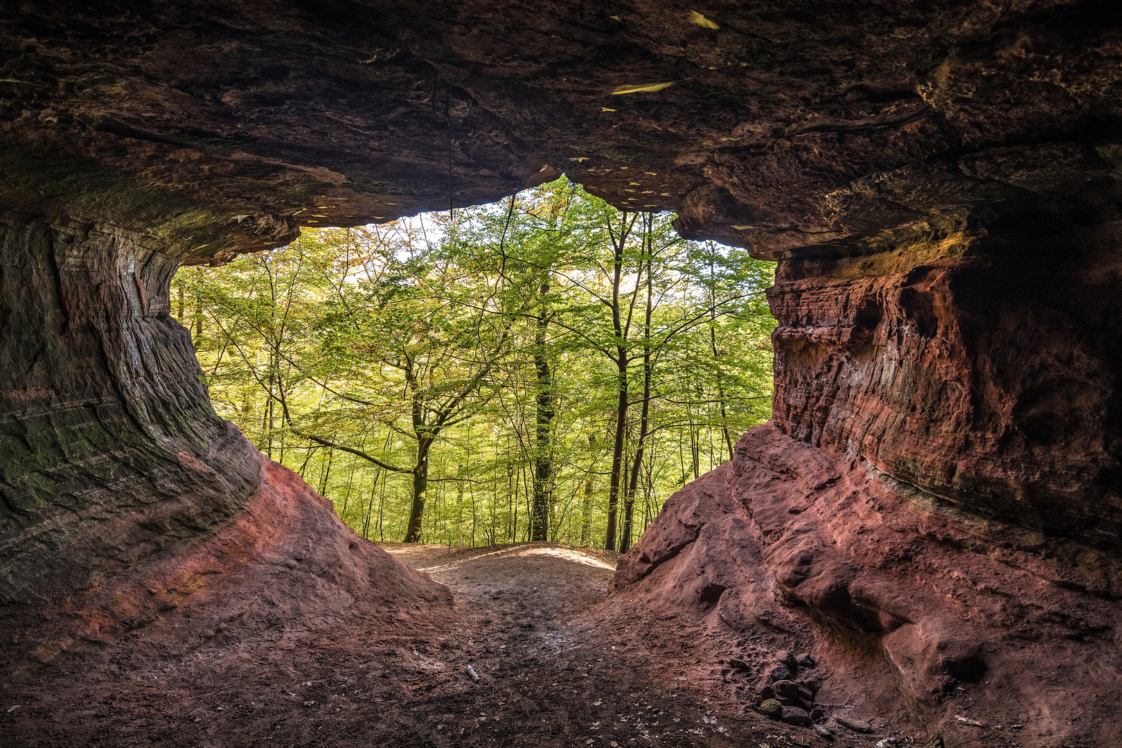 Blick aus der Bärenhöhle ....