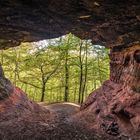 Blick aus der Bärenhöhle ....