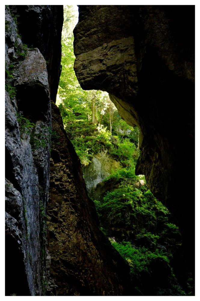 Blick aus der Breitachklamm