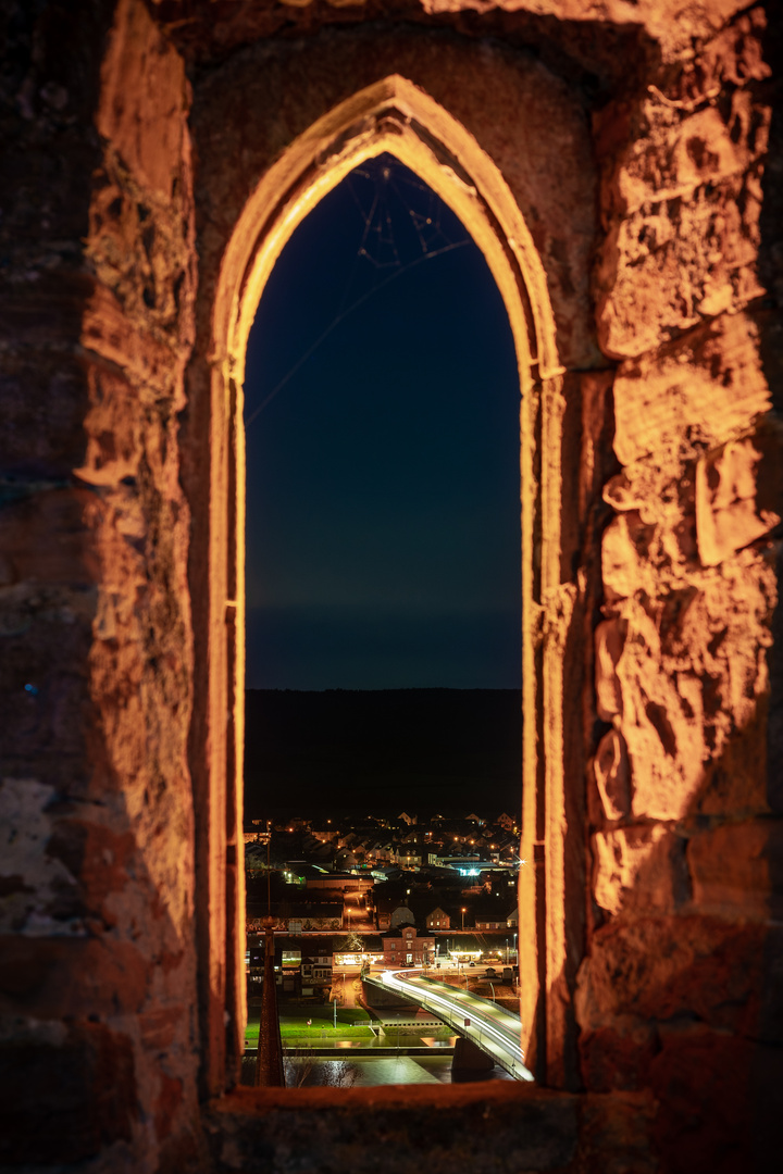 Blick aus der Clingenburg nach Wörth am Main II