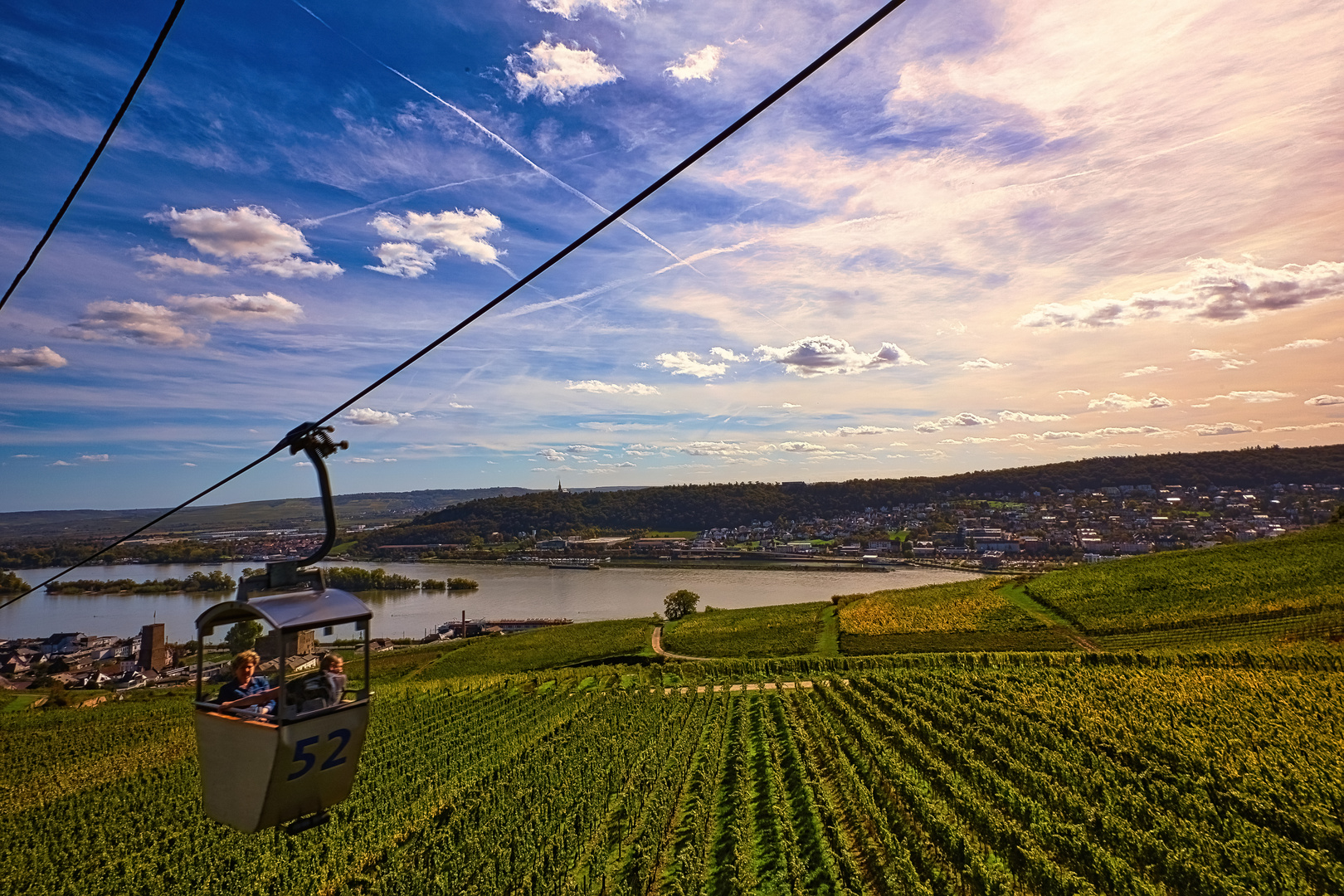  Blick aus der Gondel auf Weinberge und Rhein