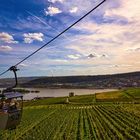  Blick aus der Gondel auf Weinberge und Rhein