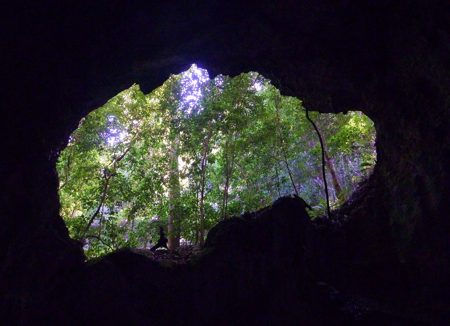 Blick aus der Höhle