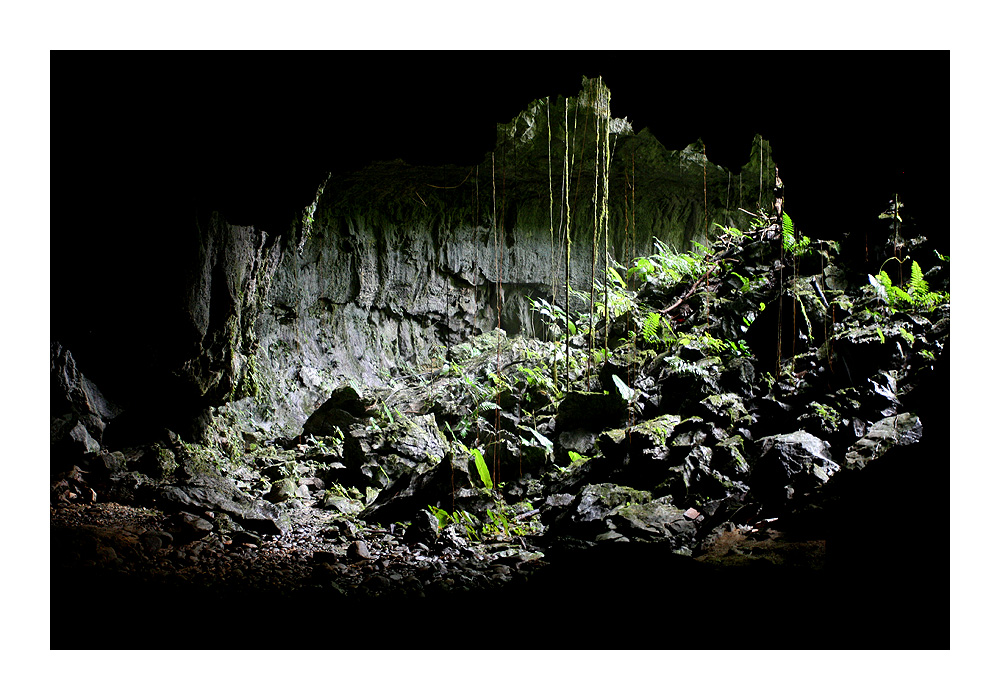 Blick aus der Höhle