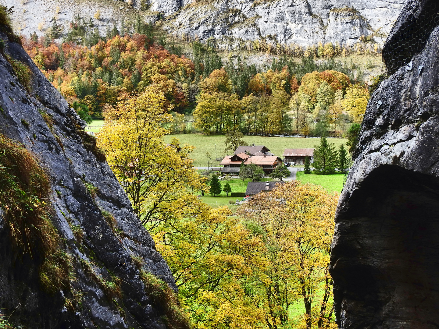 Blick aus der Höhle ins Tal