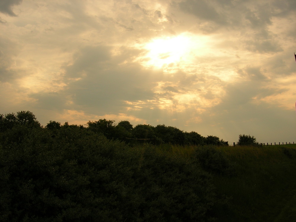 Blick aus der Inselbahn auf Langeoog