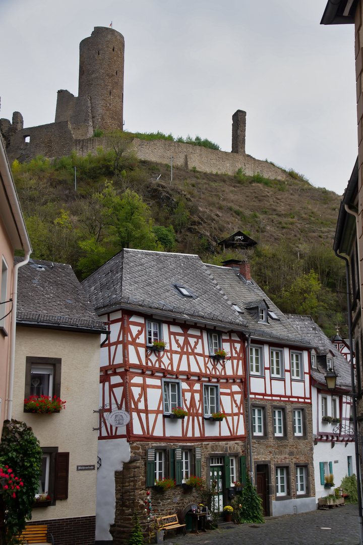 Blick aus der Mühlenstrasse auf die Löwenburg