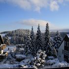 Blick aus der Pension Harzbiker