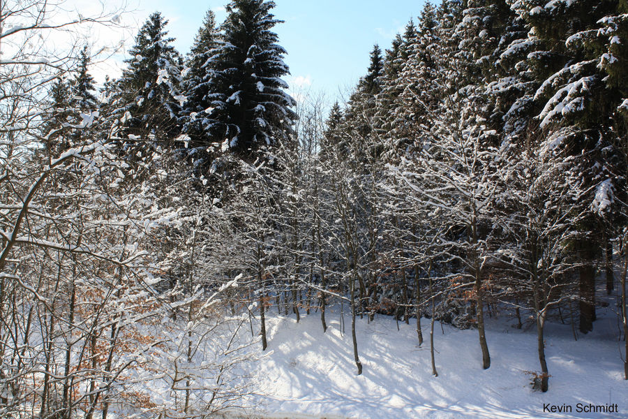 Blick aus der Rettungswache