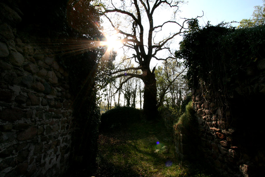 Blick aus der Ruine der Feldsteinkapelle auf dem Friedhof in Spithal
