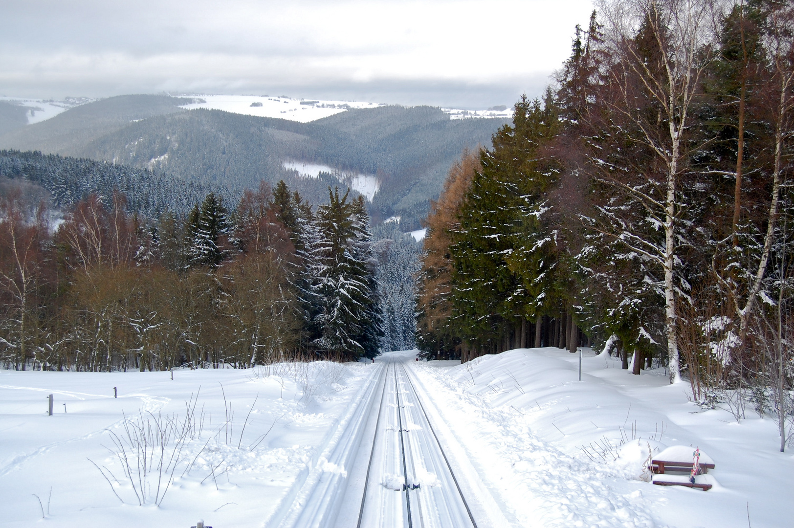 Blick aus der Standseilbahn…