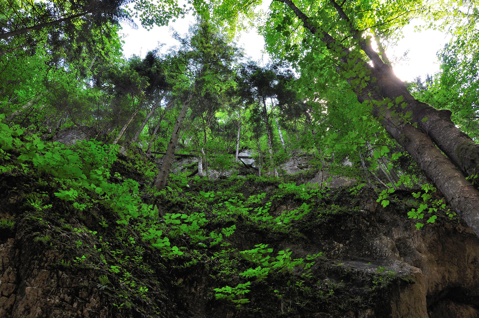 Blick aus der Steinwandklamm