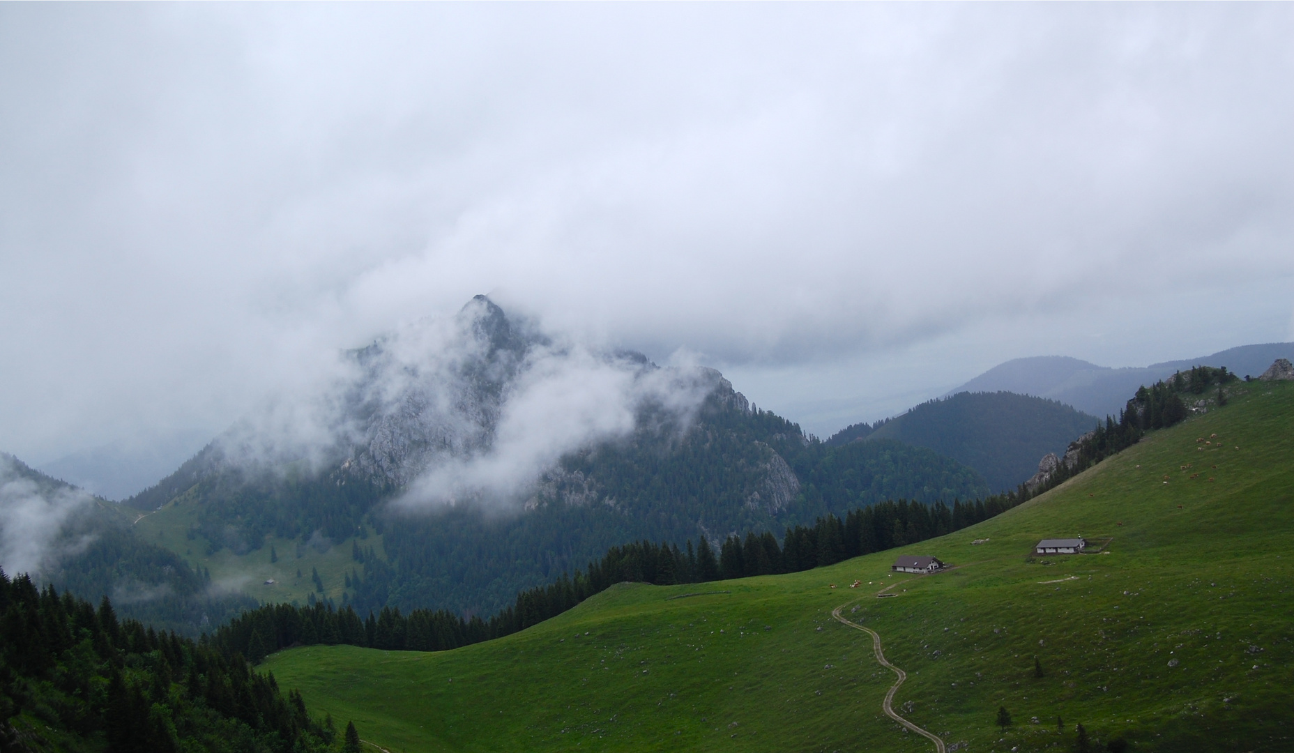 Blick aus der Zahnradbahn auf der Fahrt zum Wendelstein…