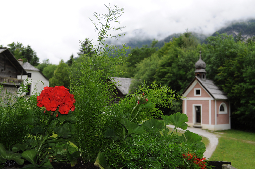 Blick aus einem Bauernhaus