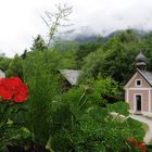 Blick aus einem Bauernhaus