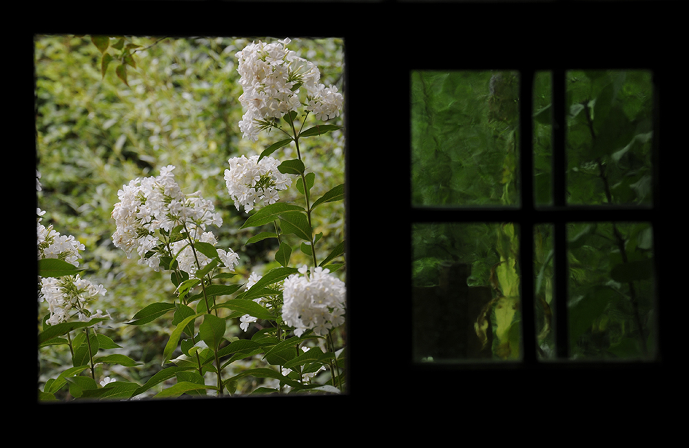 Blick aus einem Fenster im Freilichtmuseum Kommern