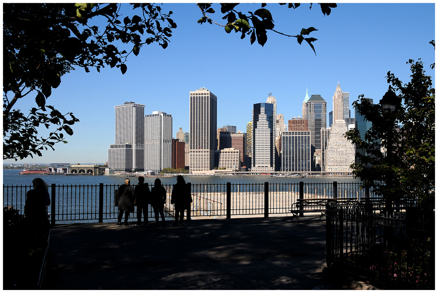 Blick aus einem Garten in Brooklyn....