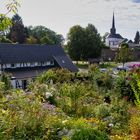 Blick aus einem Garten in Stadt Blankenberg