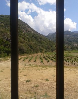 Blick aus einer Toilette auf Samos