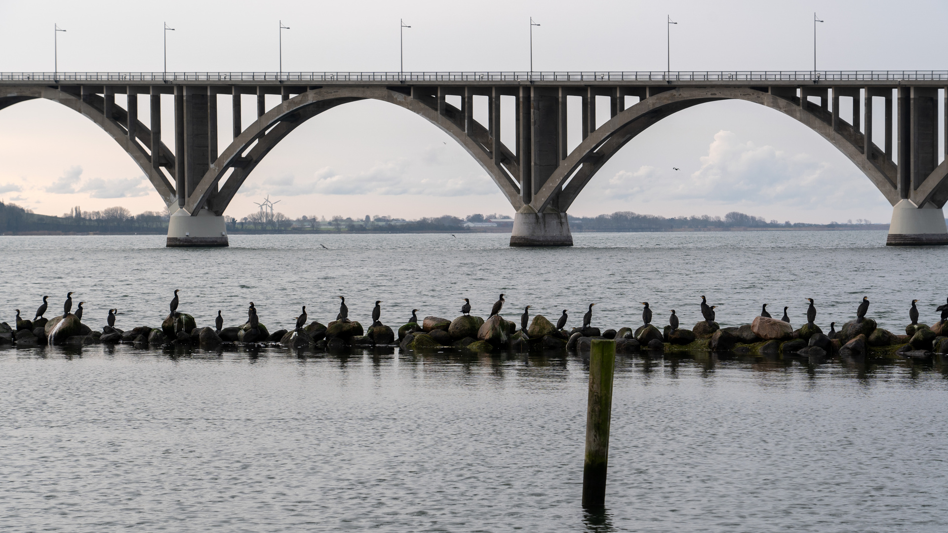 Blick aus erster Reihe auf die Møn-Brücke