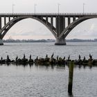 Blick aus erster Reihe auf die Møn-Brücke