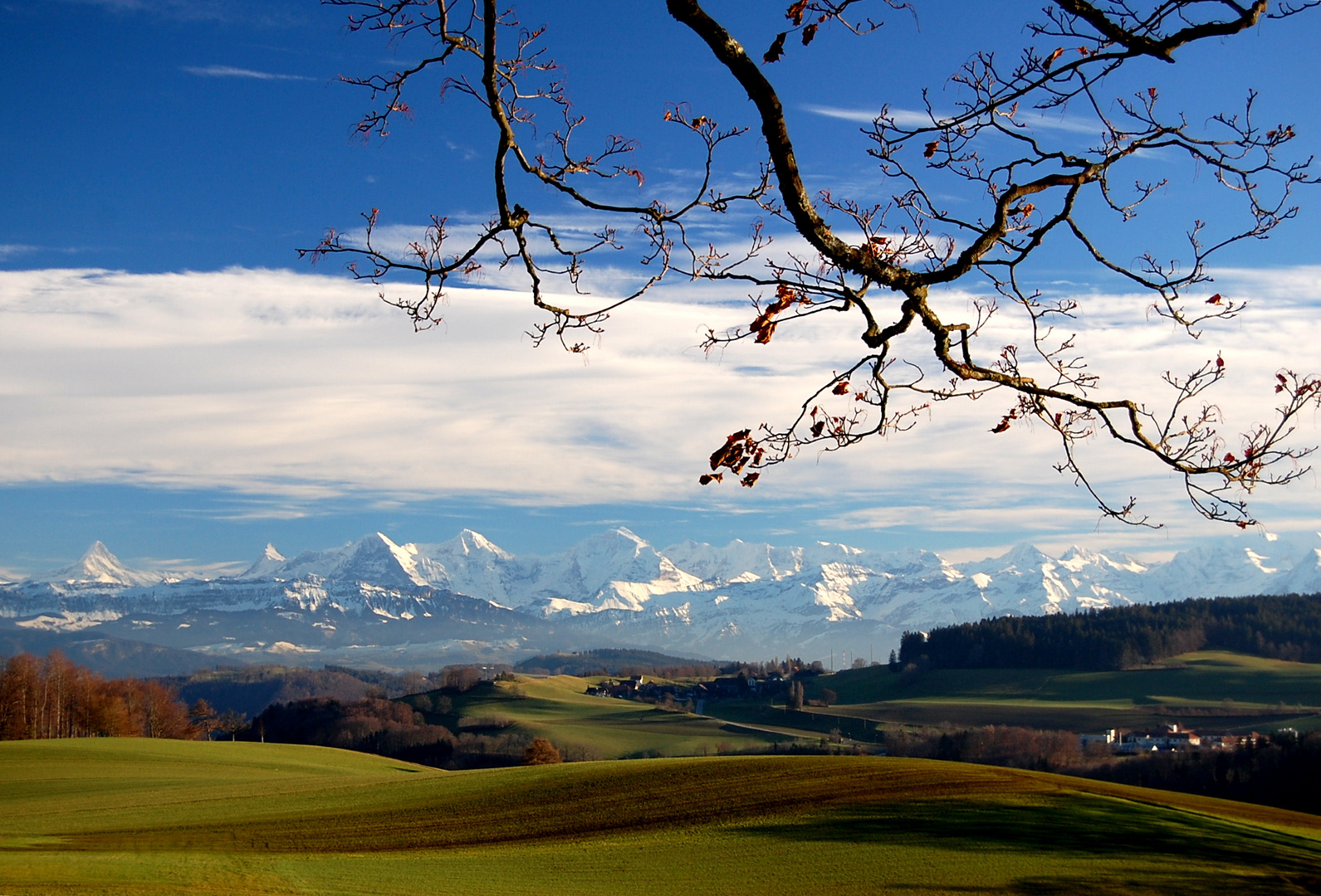 Blick aus Gurten 4